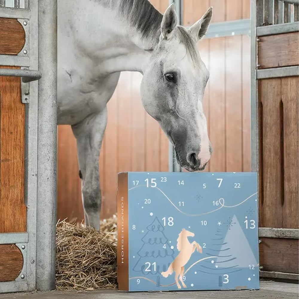 Countdown to Christmas: π΄2025 Advent Calendar for Horse Lovers! β¨