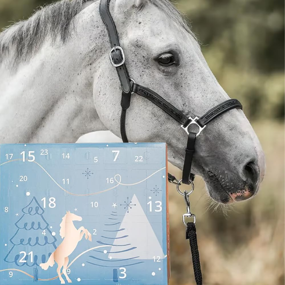 Countdown to Christmas: π΄2025 Advent Calendar for Horse Lovers! β¨