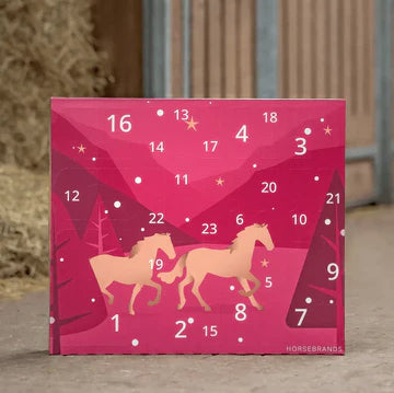Countdown to Christmas: π΄2025 Advent Calendar for Horse Lovers! β¨