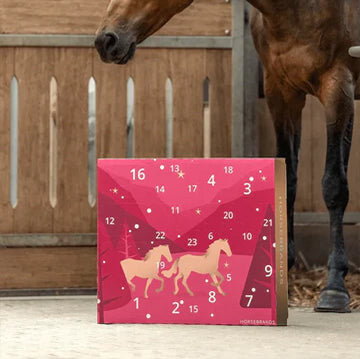 Countdown to Christmas: π΄2025 Advent Calendar for Horse Lovers! β¨