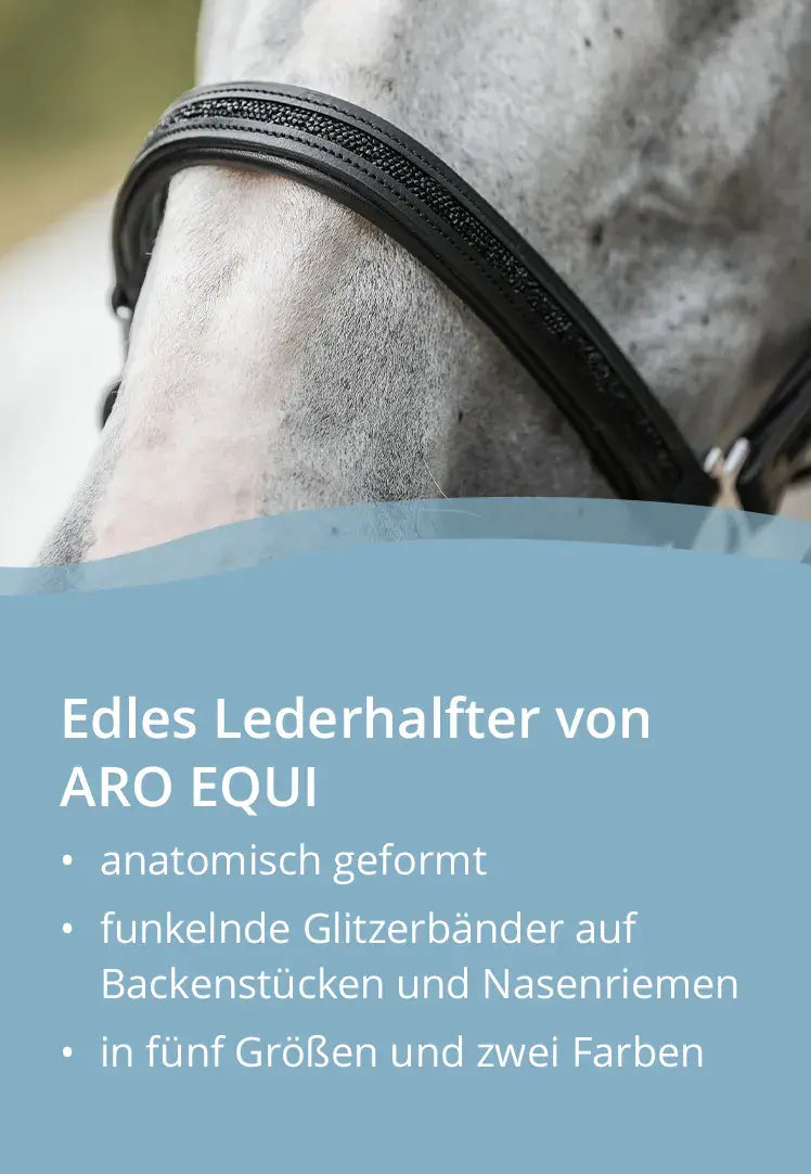 🎅Christmas Early Bird Sale 50% Off🐎Horsebrands Advent Calendar 2025