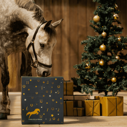 Countdown to Christmas: π΄2025 Advent Calendar for Horse Lovers! β¨