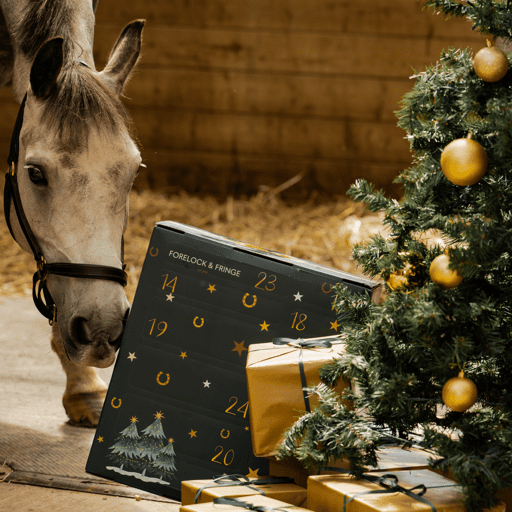 Countdown to Christmas: π΄2025 Advent Calendar for Horse Lovers! β¨