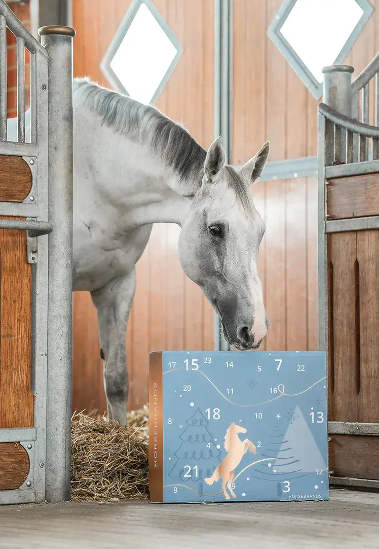 🎅Christmas Early Bird Sale 50% Off🐎Horsebrands Advent Calendar 2025