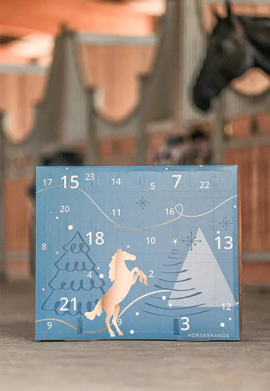 🎅Christmas Early Bird Sale 50% Off🐎Horsebrands Advent Calendar 2025