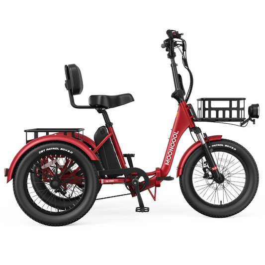Pro Electric Trike
