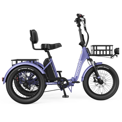 Pro Electric Trike