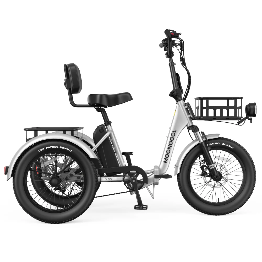 Pro Electric Trike