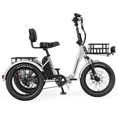 Pro Electric Trike